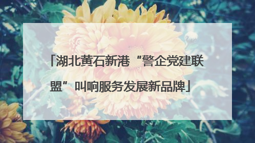 湖北黄石新港“警企党建联盟”叫响服务发展新品牌
