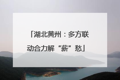 湖北黄州：多方联动合力解“薪”愁