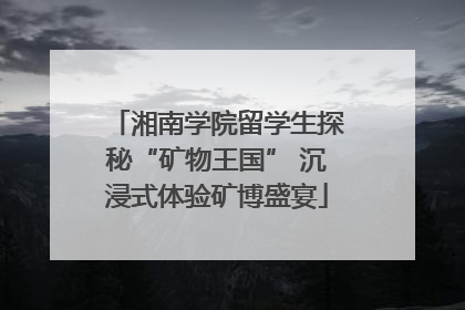 湘南学院留学生探秘“矿物王国” 沉浸式体验矿博盛宴