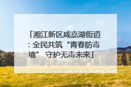 湘江新区咸嘉湖街道：全民共筑“青春防毒墙” 守护无毒未来