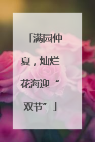 满园仲夏，灿烂花海迎“双节”