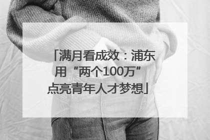 满月看成效：浦东用“两个100万”点亮青年人才梦想