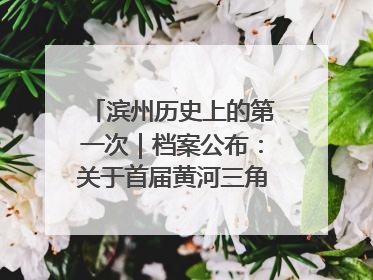 滨州历史上的第一次｜档案公布：关于首届黄河三角洲城市经济博览会暨发展论坛情况的总结报告