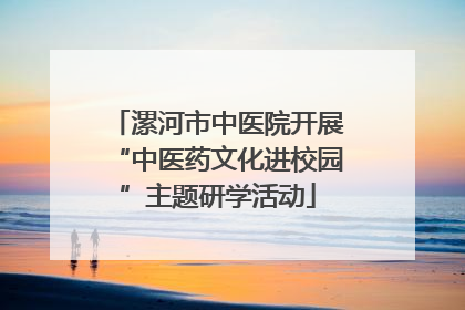 漯河市中医院开展“中医药文化进校园”主题研学活动