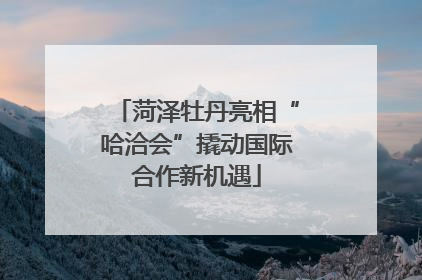 菏泽牡丹亮相“哈洽会”撬动国际合作新机遇