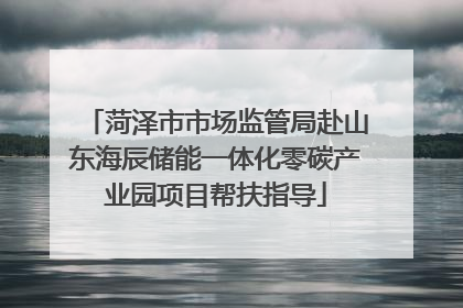 菏泽市市场监管局赴山东海辰储能一体化零碳产业园项目帮扶指导