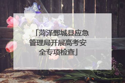 菏泽鄄城县应急管理局开展高考安全专项检查