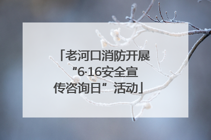 老河口消防开展“6·16安全宣传咨询日”活动