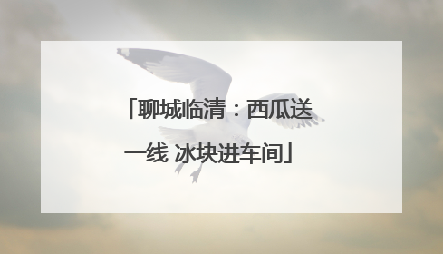 聊城临清：西瓜送一线 冰块进车间
