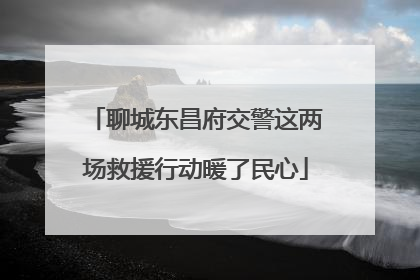 聊城东昌府交警这两场救援行动暖了民心