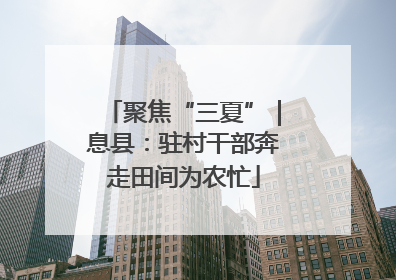 聚焦“三夏”｜息县：驻村干部奔走田间为农忙