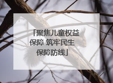聚焦儿童权益保障 筑牢民生保障防线