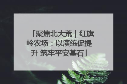 聚焦北大荒｜红旗岭农场：以演练促提升 筑牢平安基石