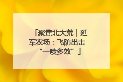 聚焦北大荒｜延军农场：飞防出击 “一喷多效”