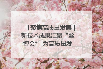 聚焦高质量发展｜新技术成果汇聚“丝博会” 为高质量发展注入新动能