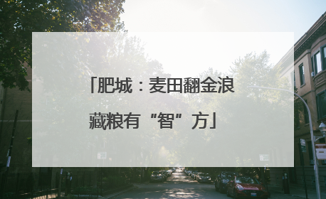 肥城：麦田翻金浪藏粮有“智”方
