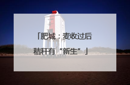 肥城：麦收过后秸秆有“新生”