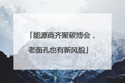 能源商齐聚碳博会，老面孔也有新风貌