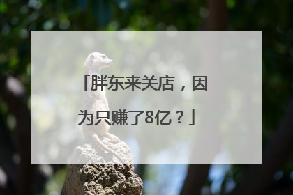 胖东来关店，因为只赚了8亿？