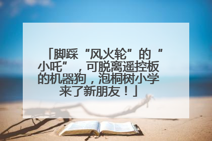 脚踩“风火轮”的“小吒”，可脱离遥控板的机器狗，泡桐树小学来了新朋友！