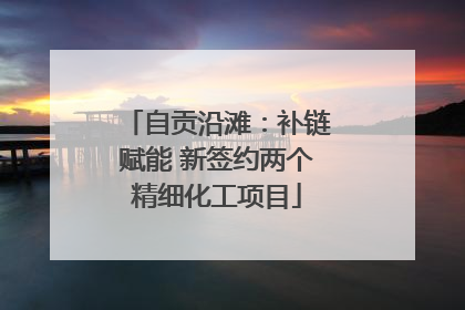 自贡沿滩：补链赋能 新签约两个精细化工项目