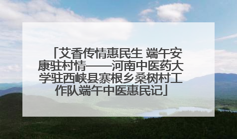 艾香传情惠民生 端午安康驻村情——河南中医药大学驻西峡县寨根乡桑树村工作队端午中医惠民记