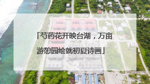 芍药花开映台湖，万亩游憩园绘就初夏诗画