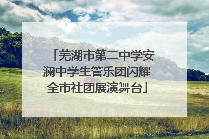 芜湖市第二中学安澜中学生管乐团闪耀全市社团展演舞台