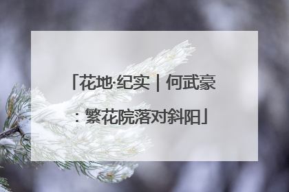 花地·纪实｜何武豪：繁花院落对斜阳