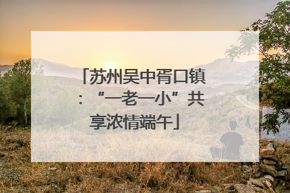 苏州吴中胥口镇：“一老一小”共享浓情端午