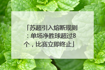 苏超引入熔断规则：单场净胜球超过8个，比赛立即终止