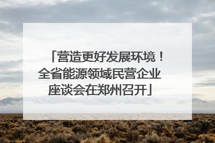 营造更好发展环境！全省能源领域民营企业座谈会在郑州召开