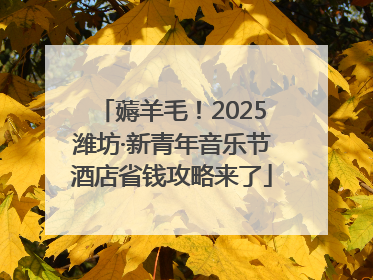 薅羊毛！2025潍坊·新青年音乐节酒店省钱攻略来了