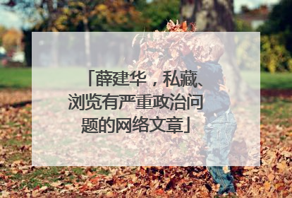 薛建华，私藏、浏览有严重政治问题的网络文章