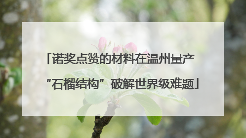 诺奖点赞的材料在温州量产 “石榴结构”破解世界级难题