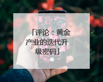 评论：黄金产业的迭代升级密码