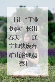 让“工业伤疤”长出春天——辽宁加快废弃矿山治理观察