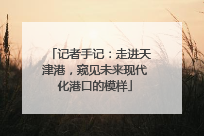 记者手记：走进天津港，窥见未来现代化港口的模样