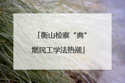 衡山检察“典”燃民工学法热潮