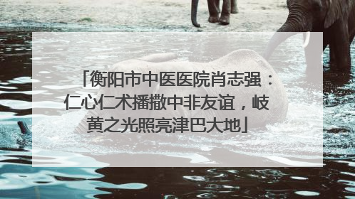 衡阳市中医医院肖志强：仁心仁术播撒中非友谊，岐黄之光照亮津巴大地