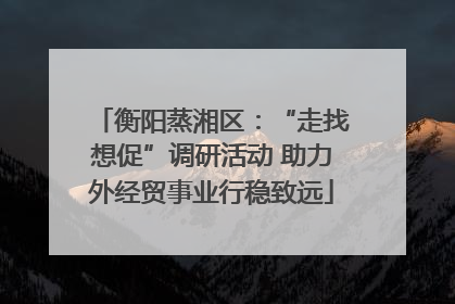 衡阳蒸湘区：“走找想促”调研活动 助力外经贸事业行稳致远