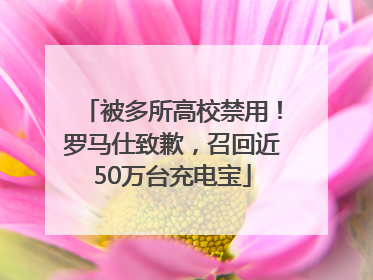 被多所高校禁用！罗马仕致歉，召回近50万台充电宝