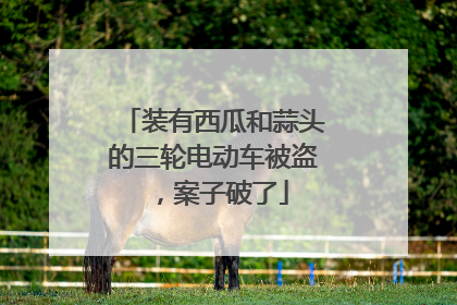装有西瓜和蒜头的三轮电动车被盗，案子破了