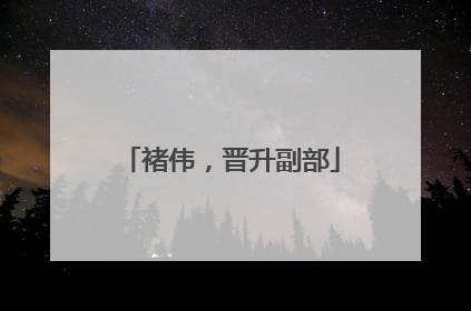 褚伟，晋升副部