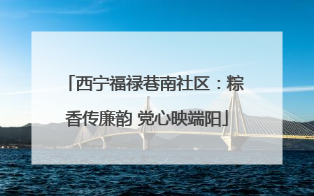 西宁福禄巷南社区：粽香传廉韵 党心映端阳