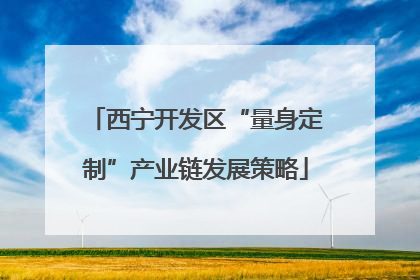 西宁开发区“量身定制”产业链发展策略