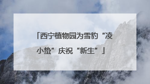 西宁植物园为雪豹“凌小蛰”庆祝“新生”