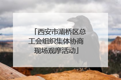西安市灞桥区总工会组织集体协商现场观摩活动