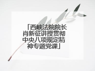 西峡法院院长肖新征讲授贯彻中央八项规定精神专题党课
