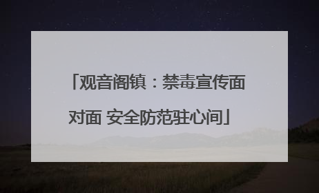 观音阁镇：禁毒宣传面对面 安全防范驻心间